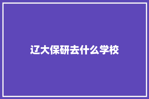 辽大保研去什么学校
