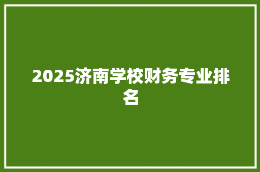 2025济南学校财务专业排名
