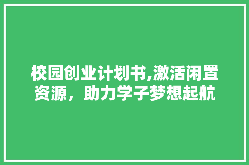 校园创业计划书,激活闲置资源，助力学子梦想起航