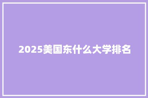 2025美国东什么大学排名