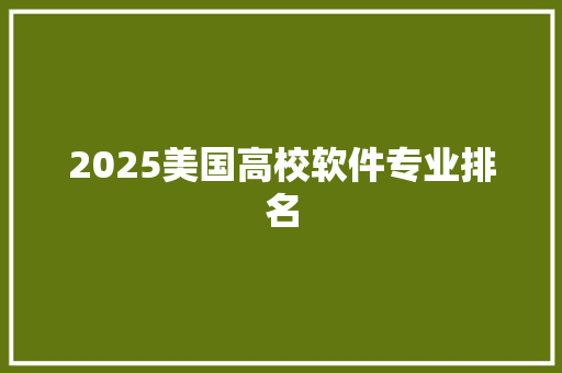 2025美国高校软件专业排名
