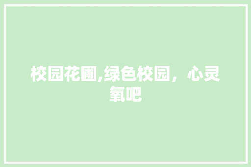 校园花圃,绿色校园，心灵氧吧