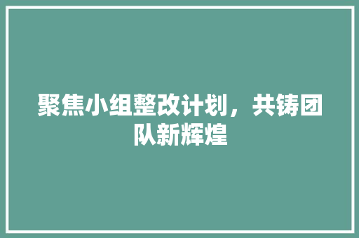 聚焦小组整改计划，共铸团队新辉煌