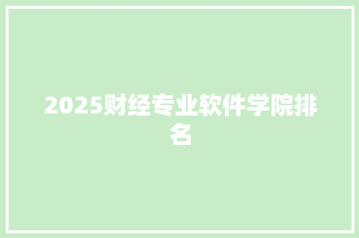 2025财经专业软件学院排名