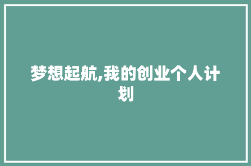 梦想起航,我的创业个人计划