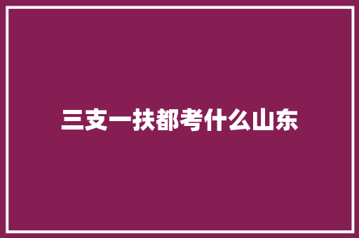 三支一扶都考什么山东
