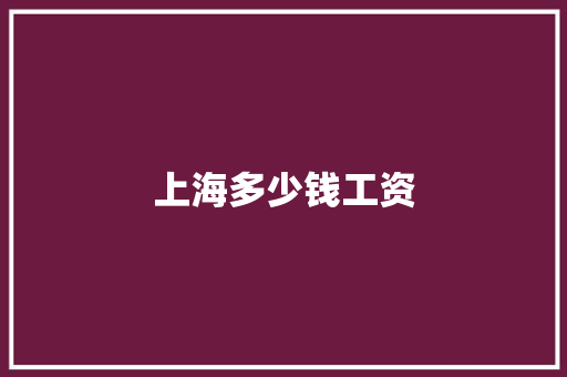 上海多少钱工资