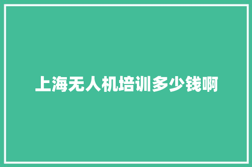上海无人机培训多少钱啊 成语大全