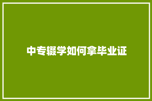 中专辍学如何拿毕业证