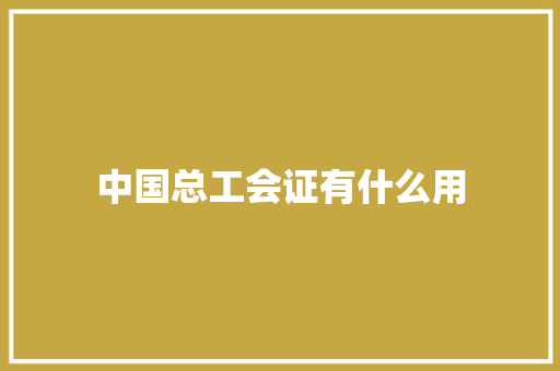 中国总工会证有什么用
