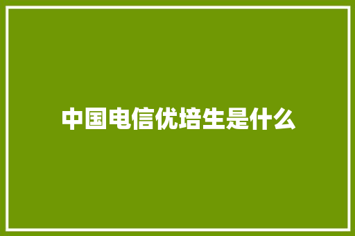 中国电信优培生是什么