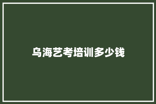 乌海艺考培训多少钱