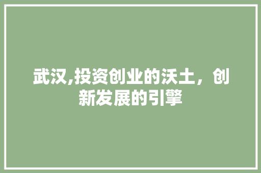 武汉,投资创业的沃土，创新发展的引擎 工作总结