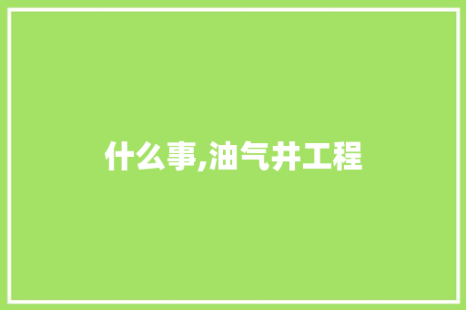什么事,油气井工程