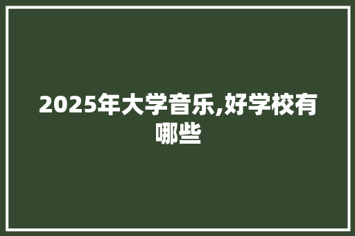 2025年大学音乐,好学校有哪些