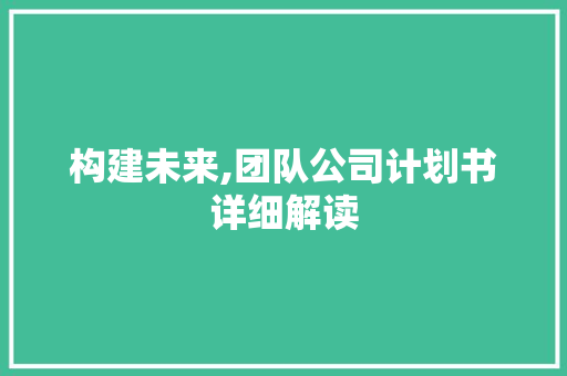 构建未来,团队公司计划书详细解读