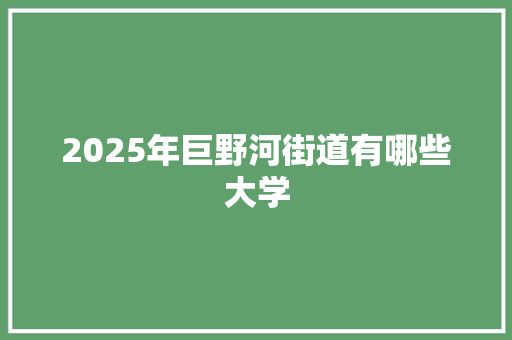 2025年巨野河街道有哪些大学