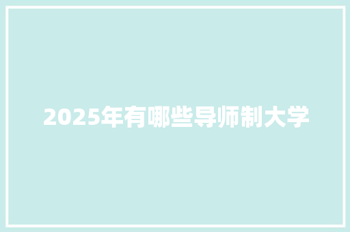 2025年有哪些导师制大学