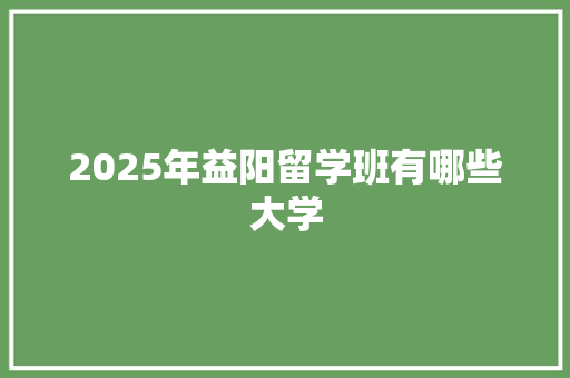 2025年益阳留学班有哪些大学