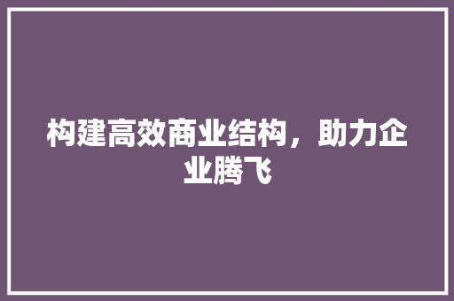 构建高效商业结构，助力企业腾飞