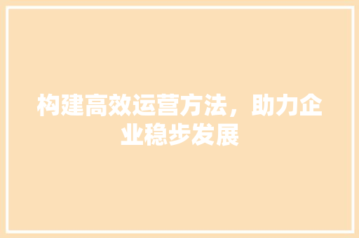 构建高效运营方法，助力企业稳步发展