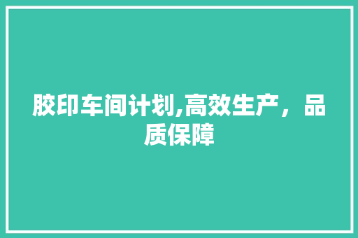 胶印车间计划,高效生产，品质保障