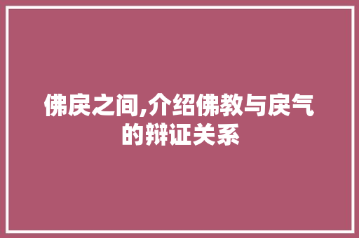 佛戾之间,介绍佛教与戾气的辩证关系