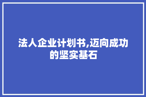 法人企业计划书,迈向成功的坚实基石
