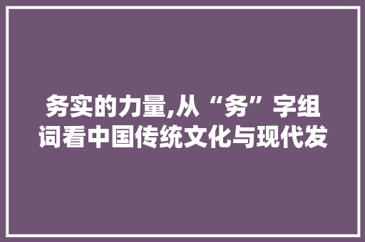 务实的力量,从“务”字组词看中国传统文化与现代发展的融合