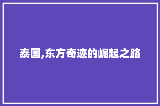 泰国,东方奇迹的崛起之路