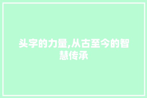 头字的力量,从古至今的智慧传承