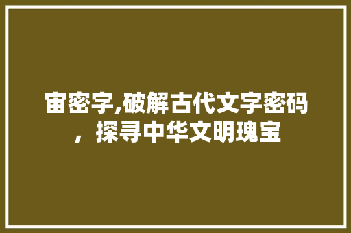 宙密字,破解古代文字密码，探寻中华文明瑰宝