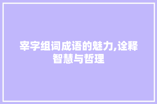 宰字组词成语的魅力,诠释智慧与哲理