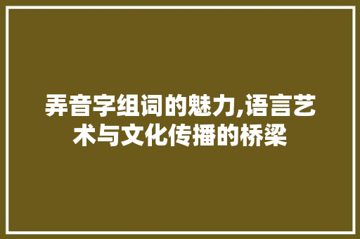 弄音字组词的魅力,语言艺术与文化传播的桥梁