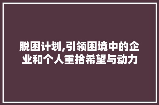 脱困计划,引领困境中的企业和个人重拾希望与动力