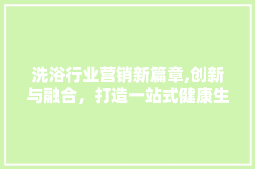 洗浴行业营销新篇章,创新与融合，打造一站式健康生活体验 工作总结