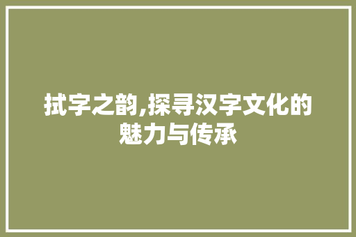拭字之韵,探寻汉字文化的魅力与传承