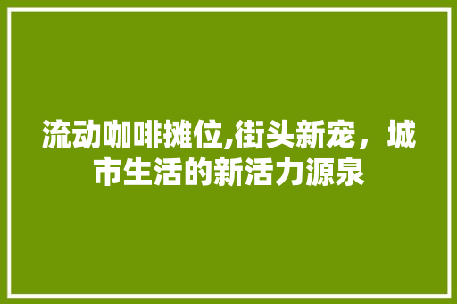 流动咖啡摊位,街头新宠，城市生活的新活力源泉