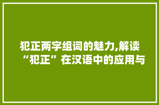 犯正两字组词的魅力,解读“犯正”在汉语中的应用与意义_犯正两字组词