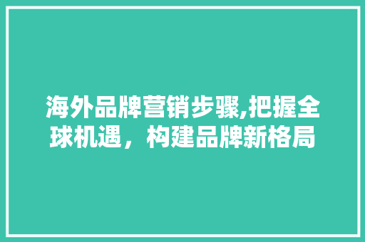 海外品牌营销步骤,把握全球机遇，构建品牌新格局