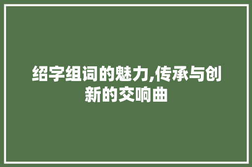 绍字组词的魅力,传承与创新的交响曲