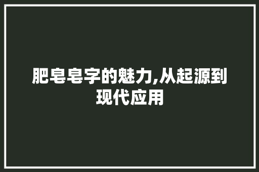 肥皂皂字的魅力,从起源到现代应用