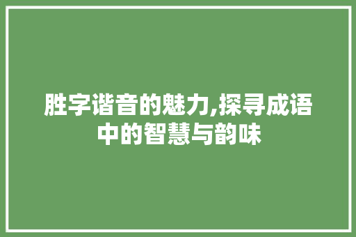 胜字谐音的魅力,探寻成语中的智慧与韵味