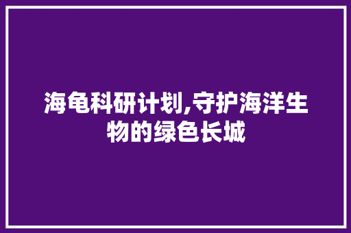 海龟科研计划,守护海洋生物的绿色长城