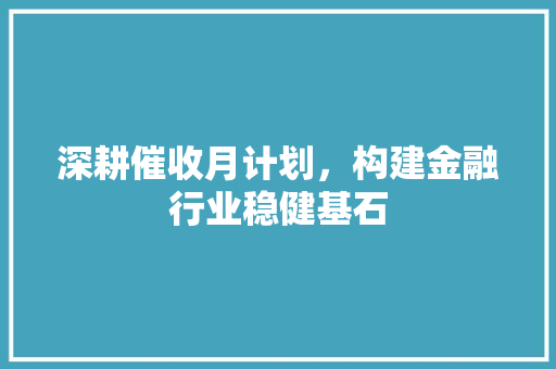 深耕催收月计划，构建金融行业稳健基石