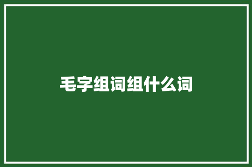 毛字组词组什么词