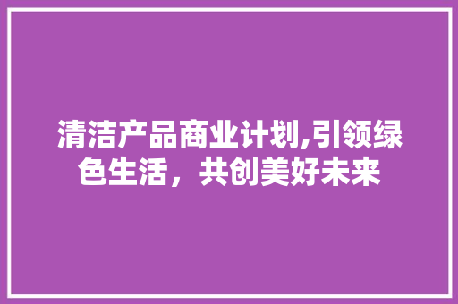 清洁产品商业计划,引领绿色生活，共创美好未来