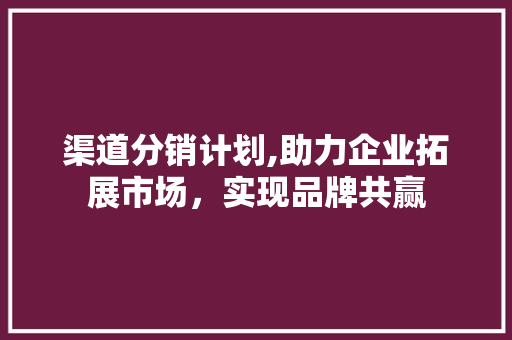 渠道分销计划,助力企业拓展市场，实现品牌共赢