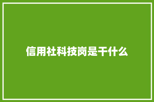 信用社科技岗是干什么