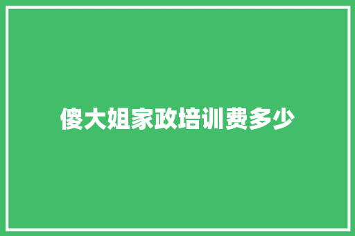 傻大姐家政培训费多少